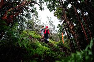 BIB: 
                            <button type="button" onclick="openModal(26203580)" class="btn btn-primary btn-sm float-right btn-popup" data-toggle="modal" data-target=".modal-high-quality">
                        <i class="fas fa-shopping-cart"></i> Add to Cart
                    </button>
                                            <button type="button" onclick="isThisMe(26203580, true)" class="btn btn-success btn-sm float-right btn-popup btn-isme hidden" data-toggle="tooltip" data-placement="bottom" title="นี่คือรูปของคุณใช่ไหม คลิกที่นี่เพื่อเอาเข้าอัลบั้ม">
                        <i class="fas fa-plus"></i> Add to album
                    </button>
                    <button type="button" onclick="isThisMe(26203580, false)" class="btn btn-warning btn-sm float-right btn-popup btn-isnotme hidden">
                        <i class="fas fa-ban"></i> Remove from album
                    </button>